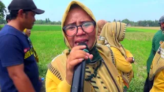 Download MANUSA GIBAH || VOC. HESTY PSM || PUTRA SURTI MUDA || SELASA 18 MEI 2021 || WERINGIN MP3