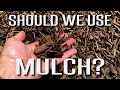 Pros and Cons of Using Mulch in Planter Beds