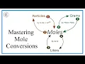 The Mole Map Mastering Particle Conversions