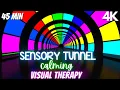 Autism Calming Music Colorful Visual Therapy Tunnel