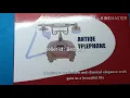 Download Lagu Telp telepon telpon rumah kabel line model klasik antik vintge retro bahan kayu asli Bestsell