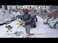 Lagu Finding FREE Tropical Plants in the Trash! | The Plant Pirates Episode 126