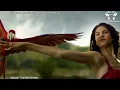 [HD VID] Coldplay - Paradise (Fedde le Grand Remix) ★★★【MUSIC VIDEO ToJ edit】★★★