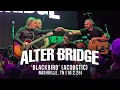 Download Lagu Alter Bridge Performs 'Blackbird' Acoustic for First Time in 18 Years | Nashville, TN (10.2.25)