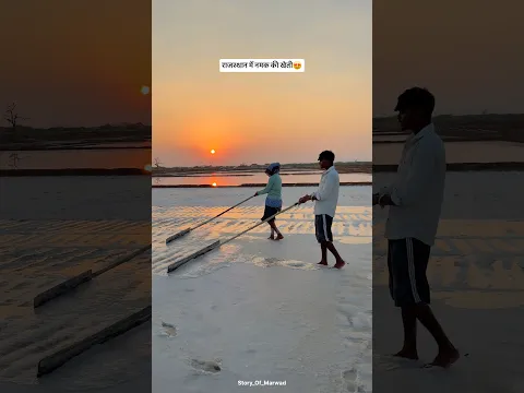राजस्थान में नमक की खेती 😍#shorts #work #sodium #sambhar #family #rajasthan #sambharlake