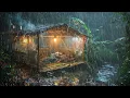 Lagu KAMPEREN IN HEVIGE REGEN EN ONWEER ‼️ DE MOEITE OM EEN HUIS MET EEN BAMBOEDAK TE BOUWEN