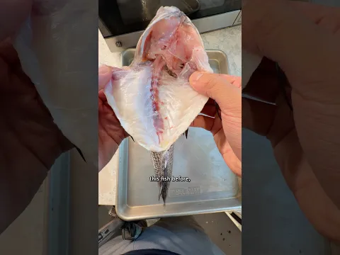 People are Wrong about this Fish