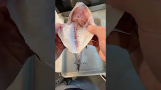 People are Wrong about this Fish