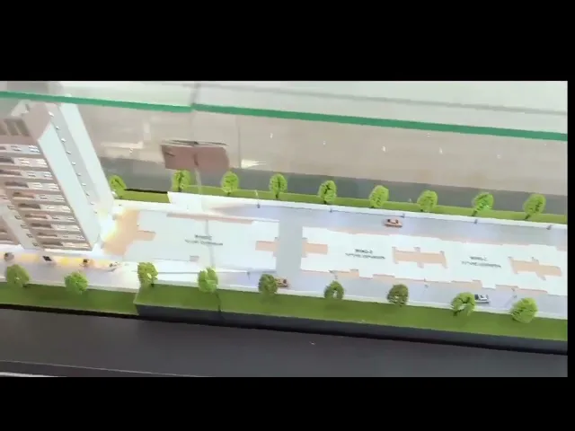Project Video