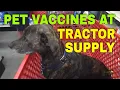 Get Pet Vaccines at Tractor Supply