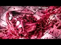 Download Lagu {534.5} Nightcore (We Are the Empty) - Antidote (with lyrics)
