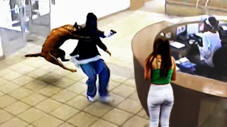 People Who Messed With the Wrong Guard Dogs