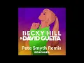 Becky Hill x David Guetta - Remember (Pete Smyth Remix)