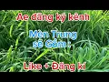 Lagu Tặng ae bao lê hai só nam-trung-bác ngày : 17/11/2025
