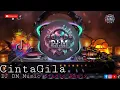 Download Lagu DJ DM Music Studio Cinta Gila Version Remix 2025 Viral di TikTok Dangdut Dj Remix koplo  