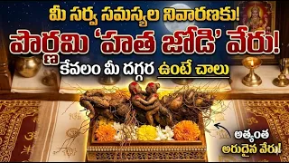 మీకు ఎటువంటి సమస్యలు ఉన్నా తొలగిపోవడానికి పౌర్ణమినాడు సేకరించిన హత జోడి మొక్కవేరు మీ దగ్గర ఉంటే చాలు