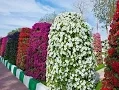 Download Lagu How to make Flower Tower Garden