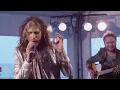 Download Lagu Steven Tyler - I don't want to miss a thing (Acoustic)