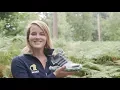 Download Lagu VERS VAN BUITEN: adidas Terrex schoenen