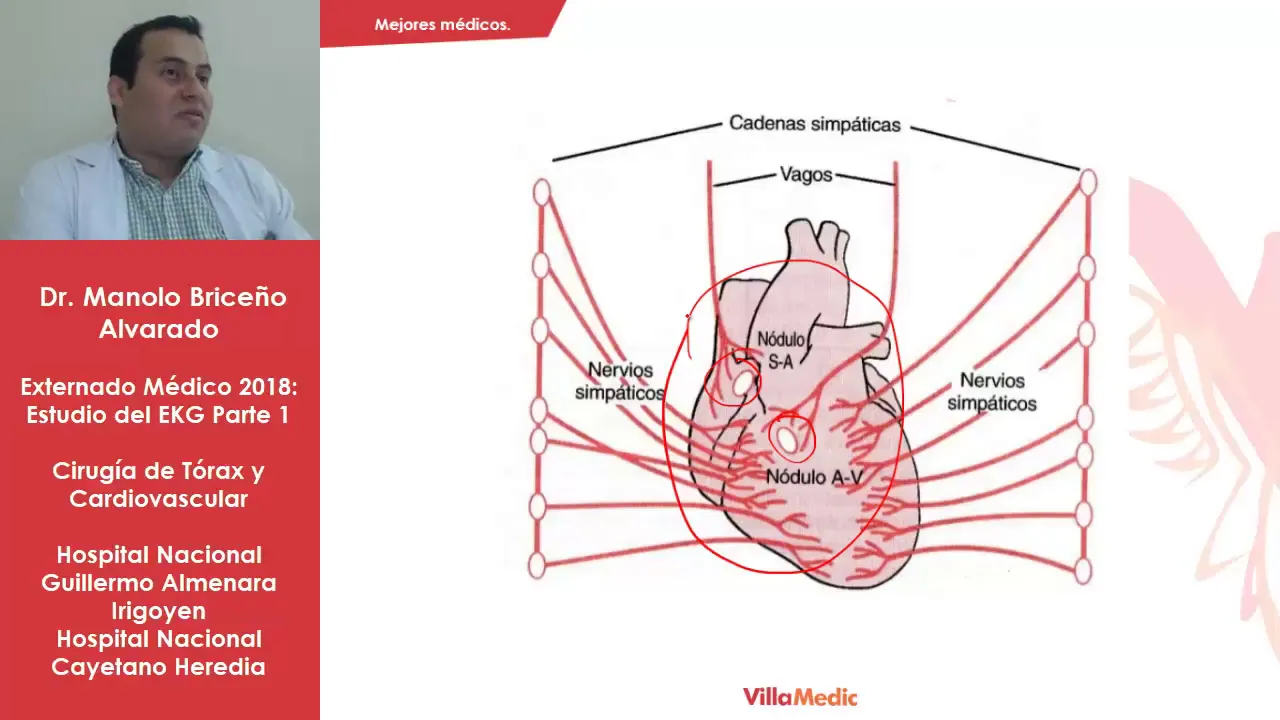 TEORIA - CASOS EKG PARTE 1