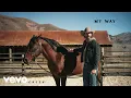 Riley Green - My Way