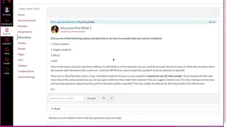 Discussion Posts on Canvas