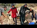 Life in the Heart of the Mountains, Stories of Solidarity and Humanity