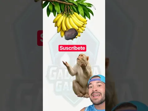 Ayuda al mono a coger los plátanos 🍌 #shorts
