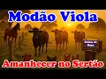 Download Lagu 📟Radinho de Pilha - MODÃO SERTANEJÃO RAIZ #Amanhecer no Sertão - Hora da Viola Caipira
