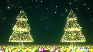 LIGHT UP CHIRSTMAS TREE BACKGROUND LOOP Xmas VJ Loop Christmas Tree No Sound