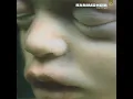 Rein raus - Rammstein