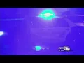 Pensacola and Mobile homicide numbers very different in 2017