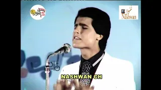 عماد عبد الحليم الضباب 