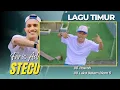 FARIS ADAM - STECU | JUAN REZA - PICA PICA | NYONG TIMUR || LAGU POP TIMUR VIRAL TIKTOK 2025