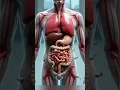 Download Lagu Parasitic Worm Infection in the Intestines | 3D Human Anatomy Explained |