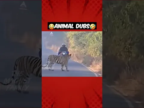 வழி மறிக்கும் வரிப்புலி‼️😭😂🐯 #magnetbytes #funnydubbing #animalfunny #tiger #roadside #hukum