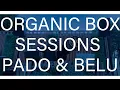 Organic Box Sessions - Pado Belu Live August no 2 Iasi Ro