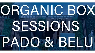 Organic Box Sessions - Pado Belu Live August no 2 Iasi Ro