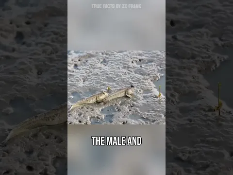 moist...