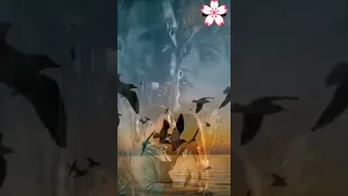 في عنيك بلاقي حنان  قربني منه كمان     دندنها