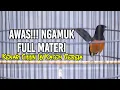 Download Lagu Pancingan Pagi Hari MURAI BATU 100% SUKSES memancing lawan BONGKAR ISIAN Kenari Cililin Lb Katem
