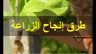 شاهد افضل الطرق لنجاح الزراعة مع العم مروان منصور 