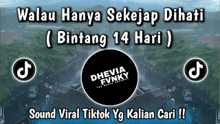 bintang 14 hari walau hanya sekejab dihati mengapa by pi7u viral tiktok 2025 yang kalian cari 