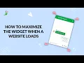How to maximize the widget when a website loads