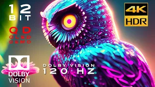 4khdr 120hz sony a95l 