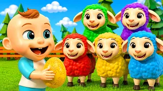 Colorful Sheep Play on the Farm | Learning Nursery Rhymes For Kids & Toddlers | LuLu LaLa