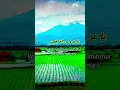Download Lagu Sholawat merdu