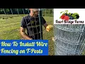 How to Install Welded Wire Fencing on T-Posts Berry Patch Expansion