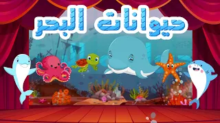 أنشودة حيوانات البحر أناشيد وأغاني أطفال باللغة العربية  أنشودة حيوانات البحر أناشيد وأغاني أطفال باللغة العربية