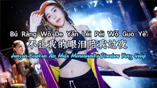 Download Bu Rang Wo De Yan Lei Pei Wo Guo Ye 不让我的眼泪陪我过夜 Remix #dj抖音版 MP3